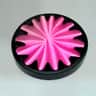 A small picture of Plaster of Paris Casting Supplies